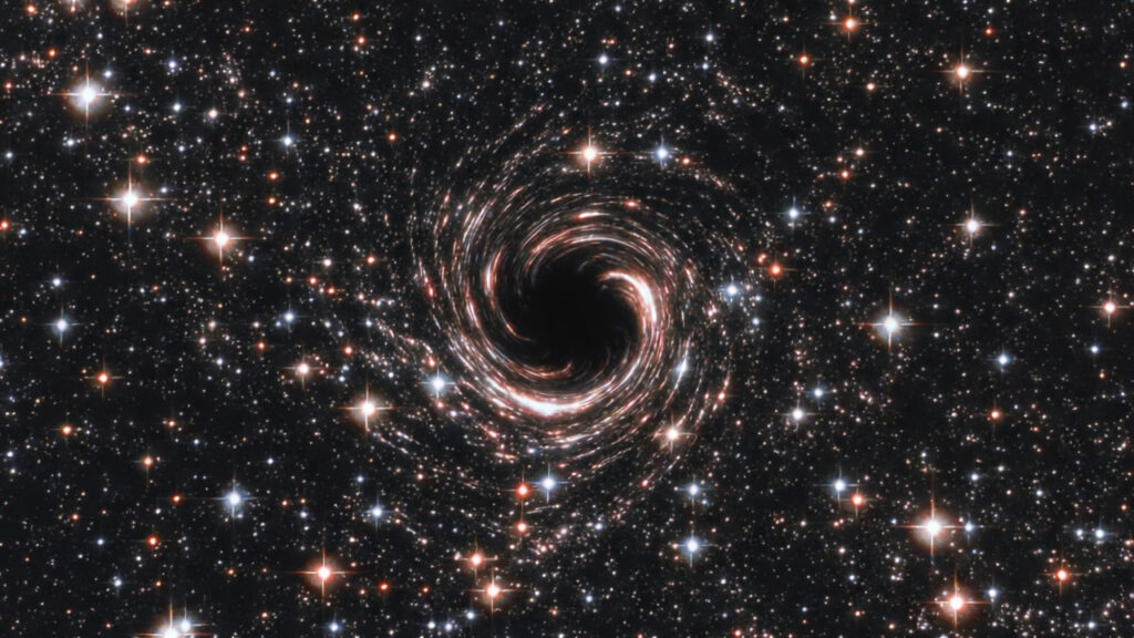 GUJERO NEGRO ERRANTE